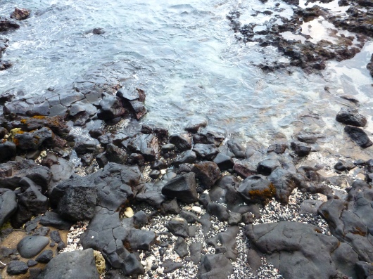 Black crabs scurry along the rocks below Huggo's restaurant and bar in Kona, HI.
