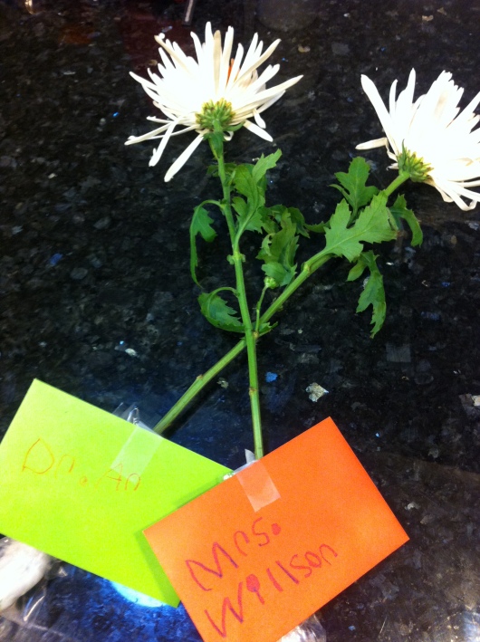 T's notes and flowers for Teacher Appreciation Week 2013.